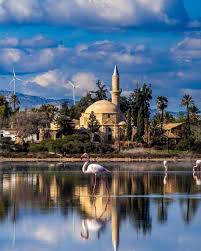 larnaca-105.jpeg