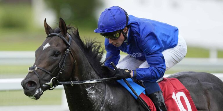 ruling-court-horse-124.jpeg
