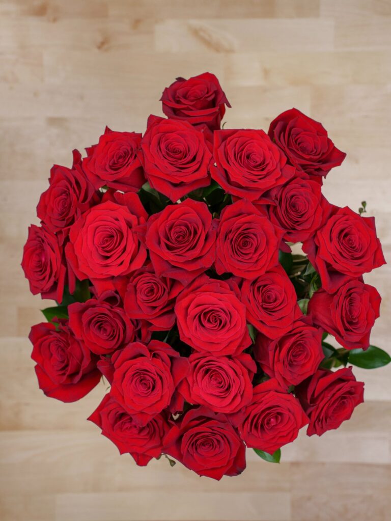 the-roses-24.jpeg