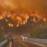 antalya-turkey-wildfires-66.jpeg