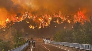 antalya-turkey-wildfires-66.jpeg