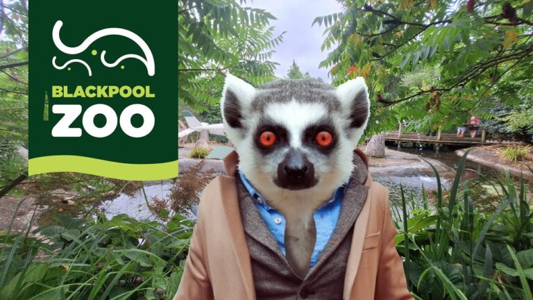 blackpool-zoo-283.jpeg