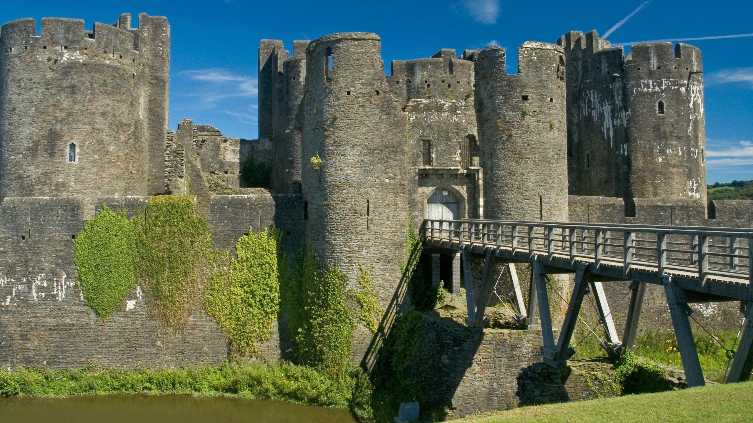 caerphilly-by-election-175.jpeg