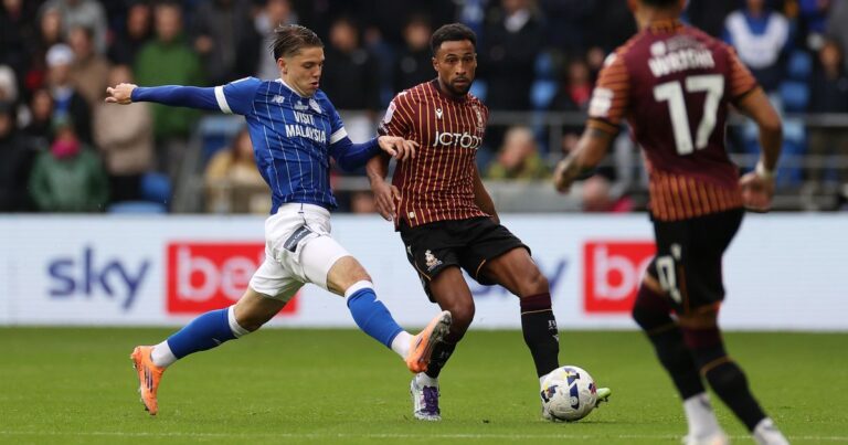 cardiff-city-vs-bradford-city-24.jpeg