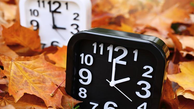 clocks-go-back-230.jpeg