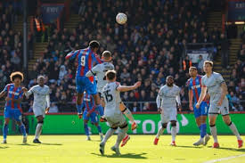 crystal-palace-vs-millwall-5.jpeg