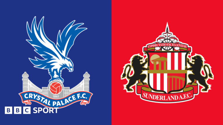 crystal-palace-vs-sunderland-8.png