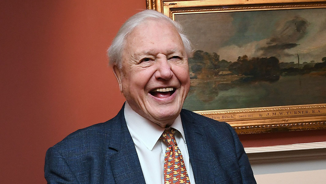 david-attenborough-246.jpeg
