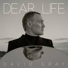david-gray-345.jpeg