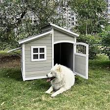 dog-232.jpeg