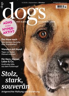 dog-78.jpeg