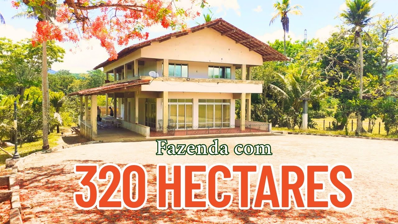 fazenda-320.jpeg