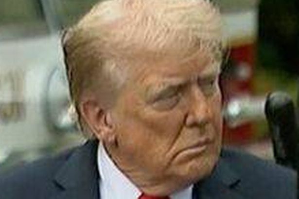 has-trump-had-a-stroke-378.jpeg