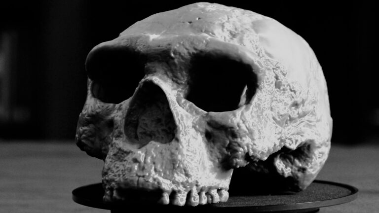 human-skull-found-9.jpeg