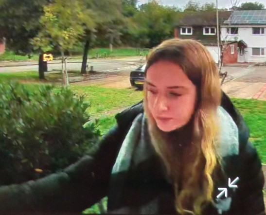 lilly-higgins-missing-148.png