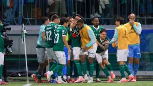 palmeiras-vs-river-plate-84.jpeg