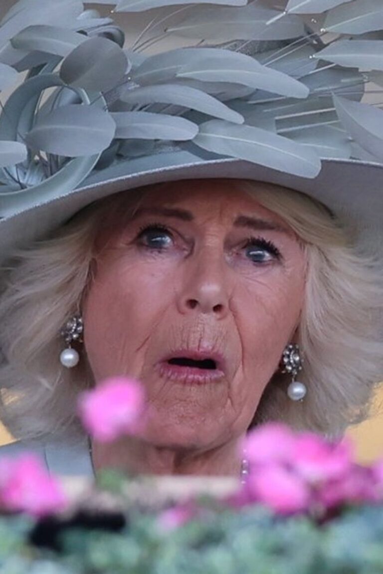 queen-camilla-264.jpeg