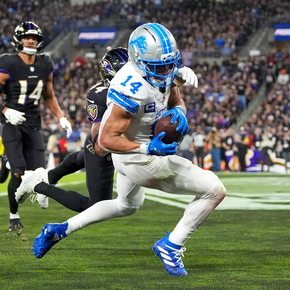ravens-vs-lions-37.jpeg