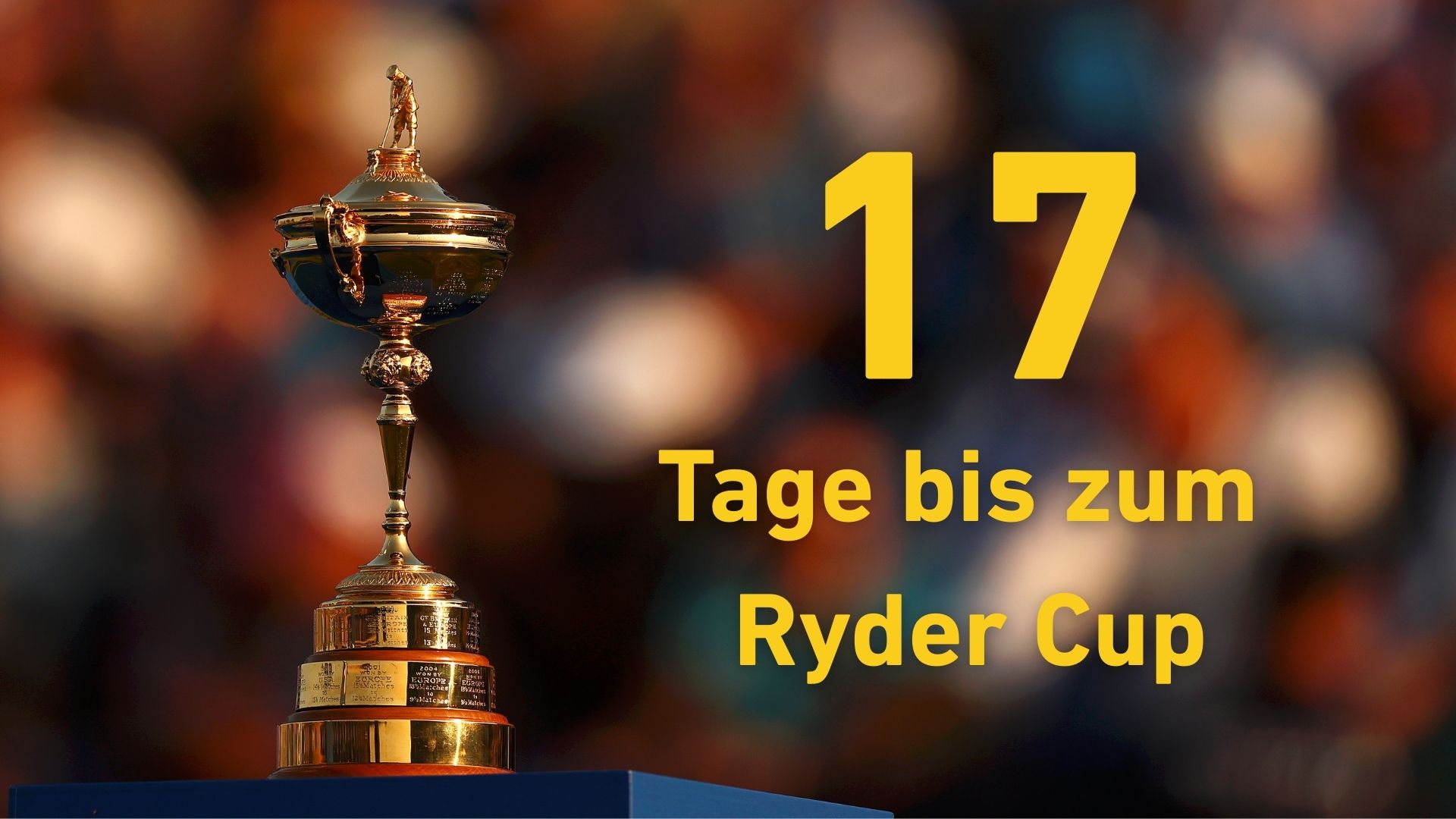 rider-cup-17.jpeg