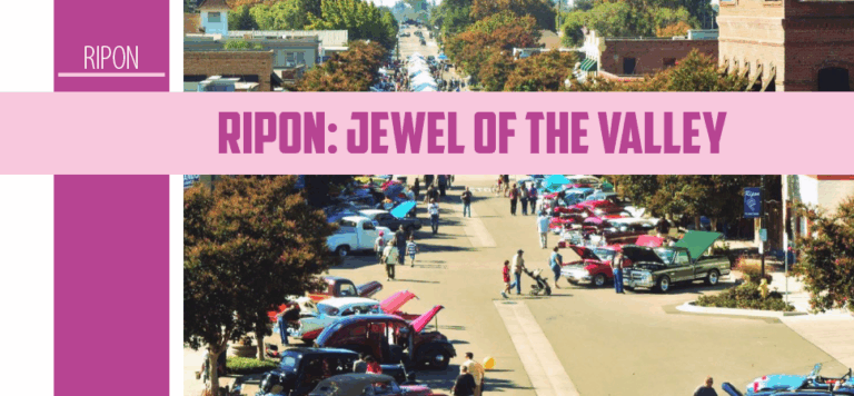 ripon-209.png