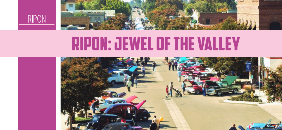 ripon-209.png