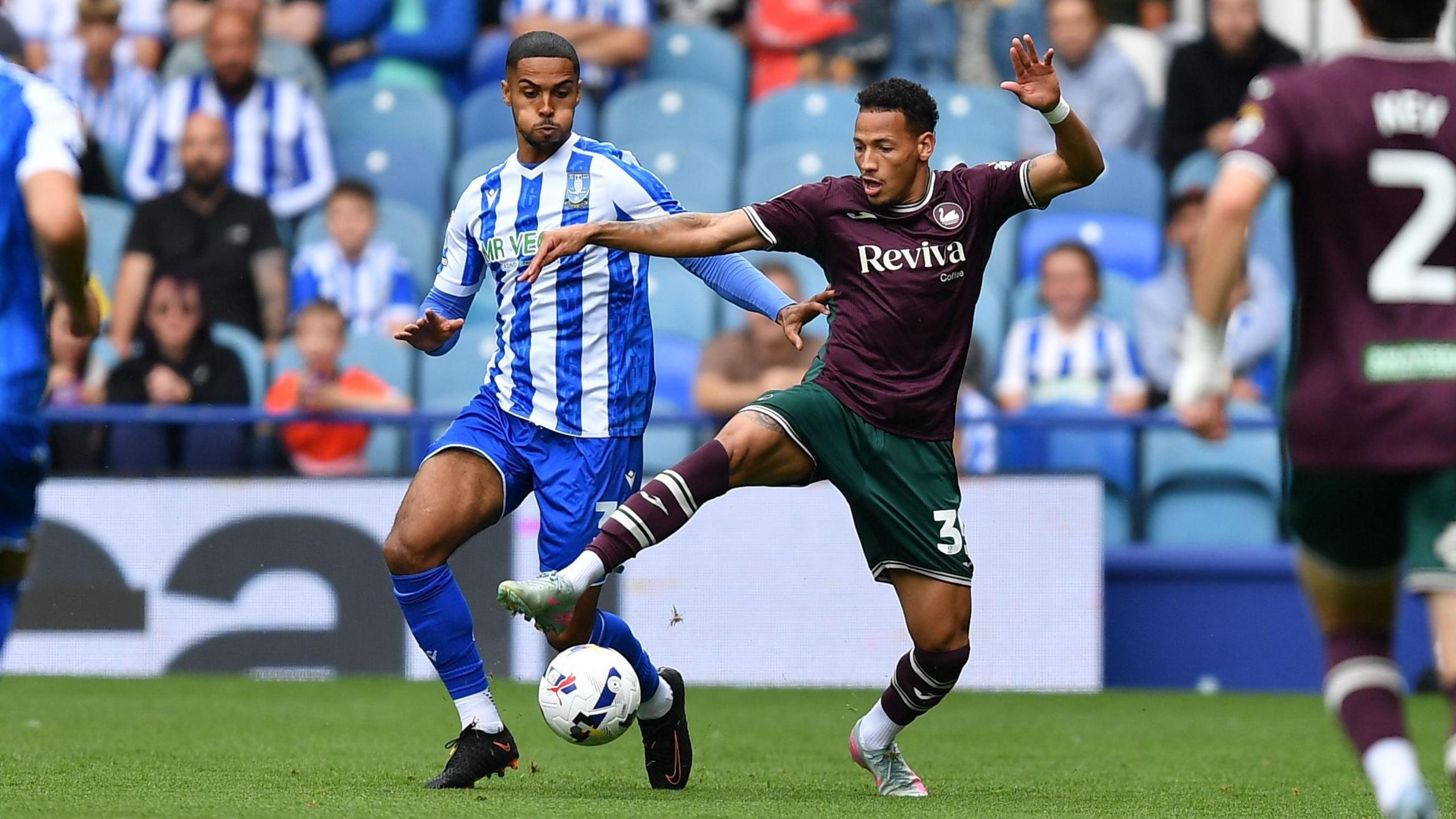 sheff-wed-316.jpeg