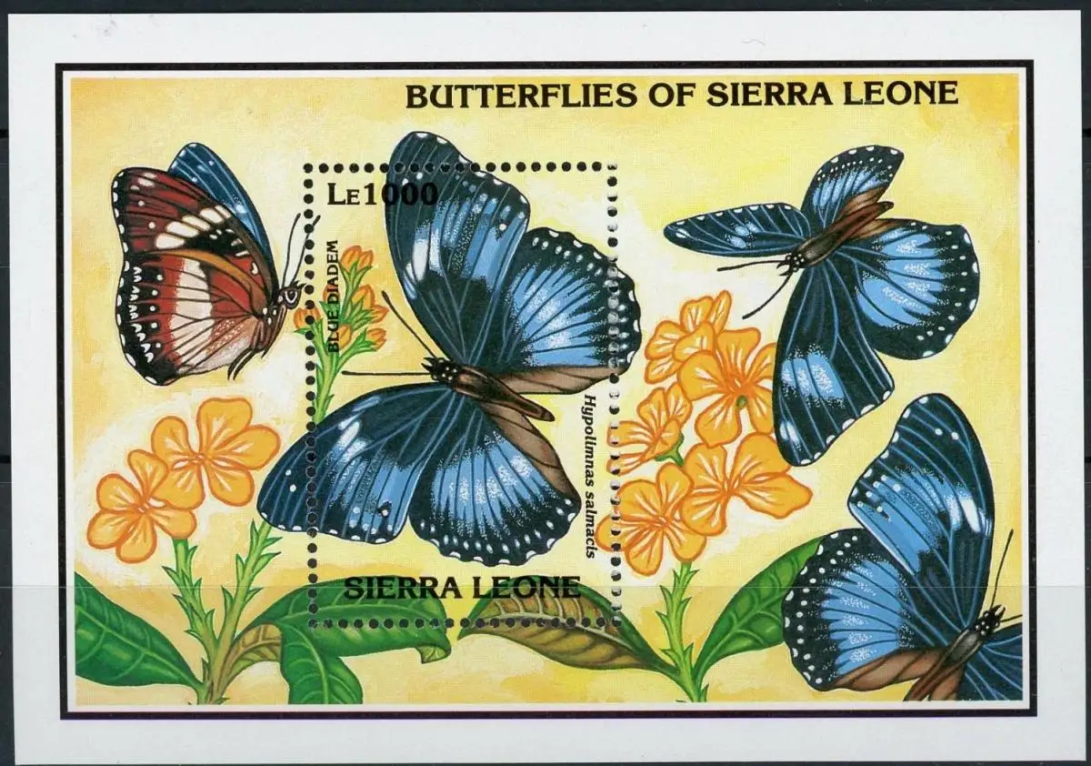 sierra-leone-224.webp