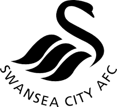 swansea-fc-131.png