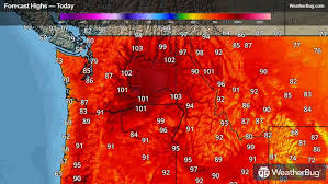 today-weather-201.jpeg
