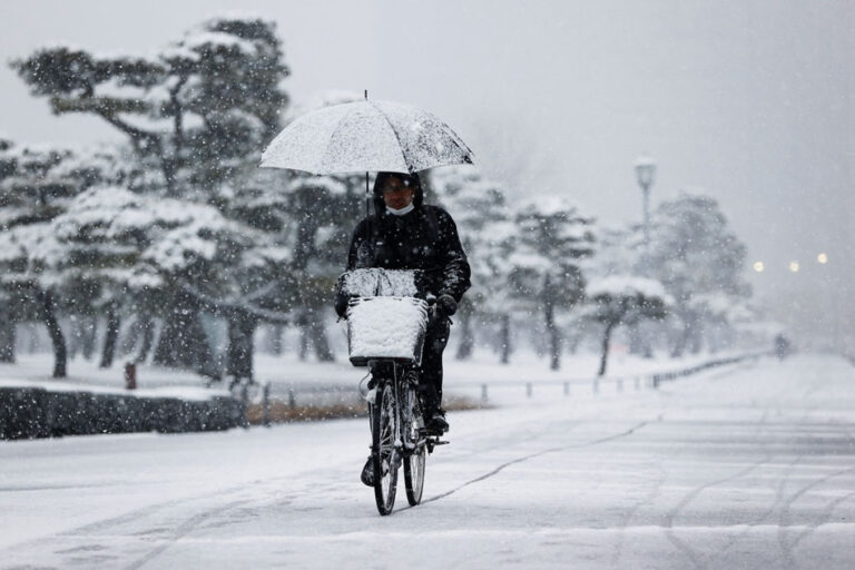 tokyo-weather-215.jpeg