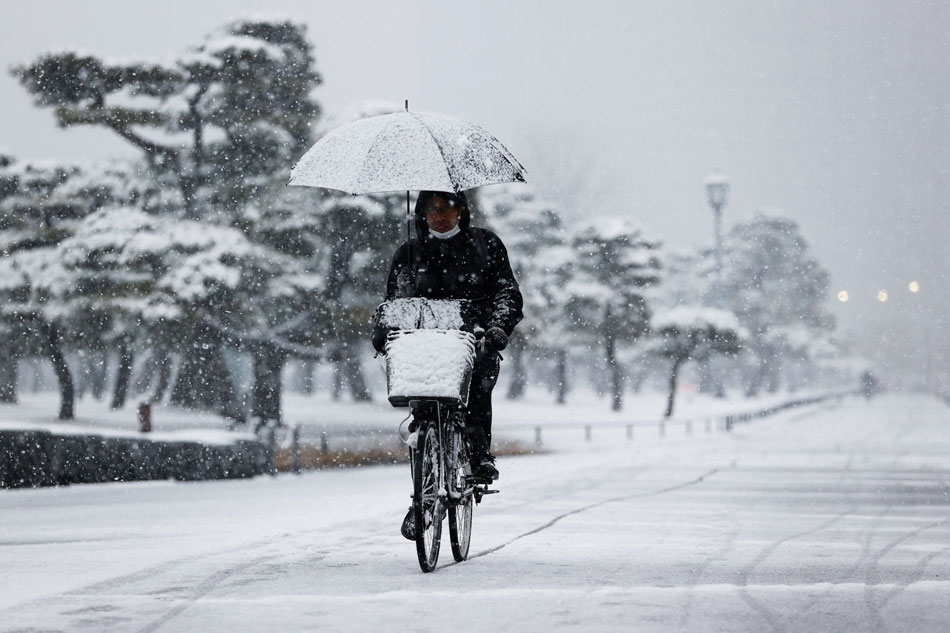 tokyo-weather-215.jpeg