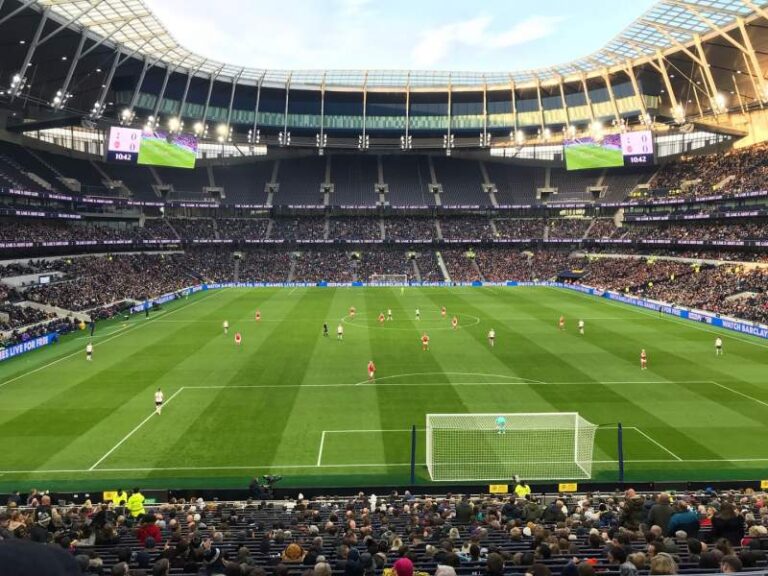 tottenham-hotspur-f-c-254.jpeg