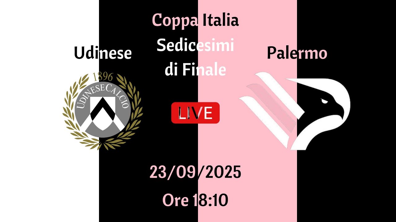 udinese-vs-palermo-117.jpeg