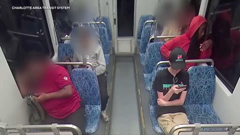 ukraine-girl-stabbed-on-train-201.jpeg