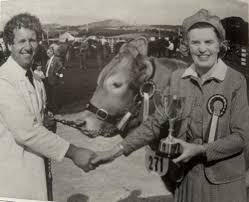 westmorland-show-284.jpeg