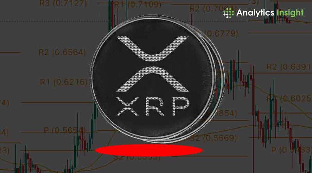 xrp-219.jpeg