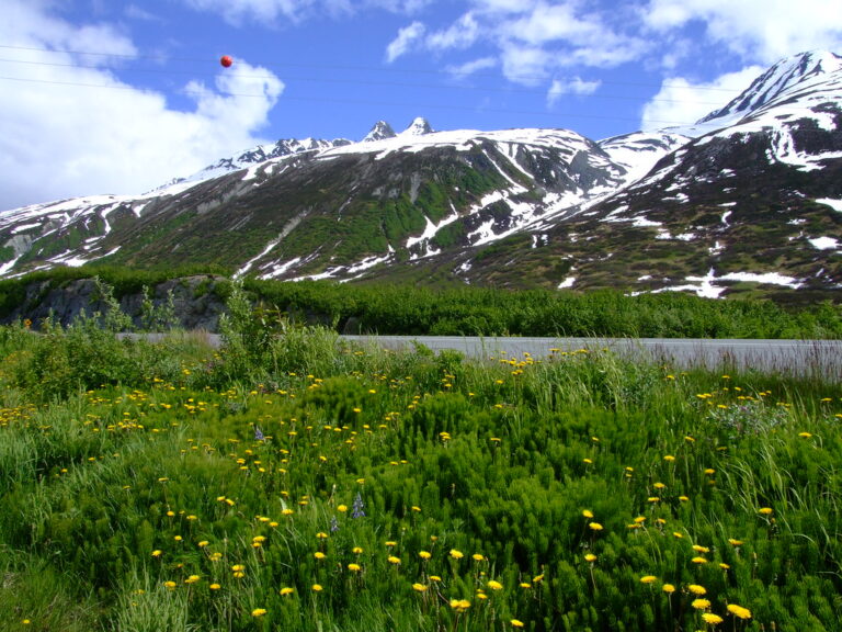alaska-249.jpeg