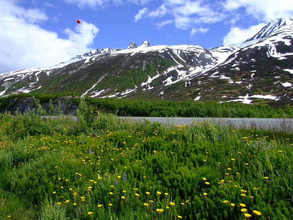 alaska-249.jpeg