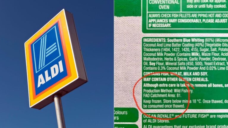 aldi-81.jpeg