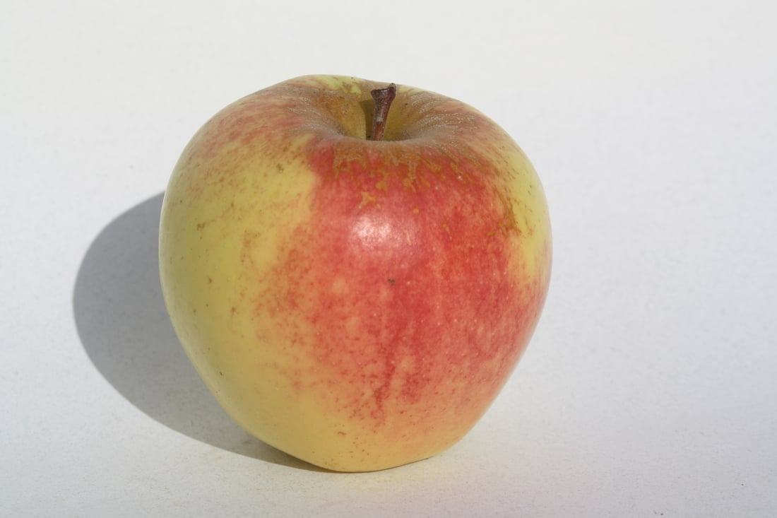 apple-29.jpeg