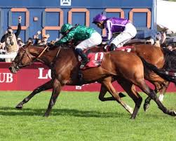 arc-de-triomphe-race-2025-45.jpeg