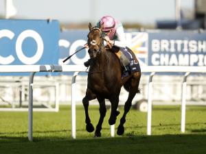ascot-races-44.jpeg