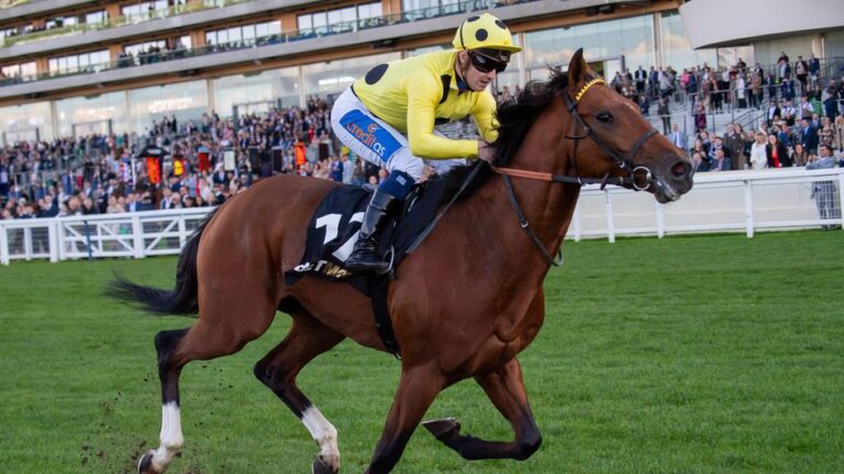 ascot-races-today-74.jpeg