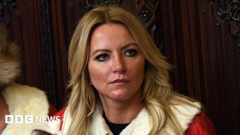 baroness-michelle-mone-ppe-104.jpeg