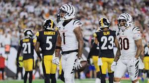 bengals-vs-steelers-30.jpeg