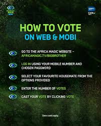 big-brother-vote-195.jpeg