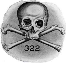 bones-57.jpeg