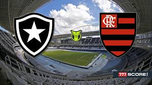 botafogo-vs-flamengo-55.jpeg