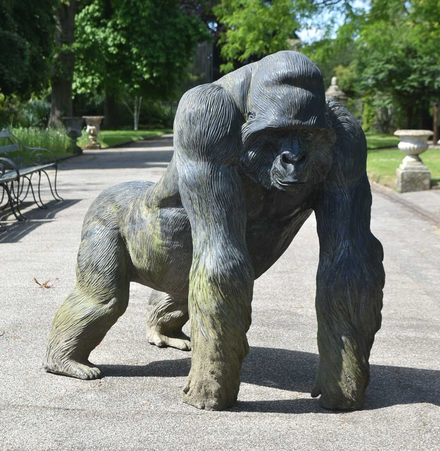 bristol-zoo-gorillas-20.jpeg