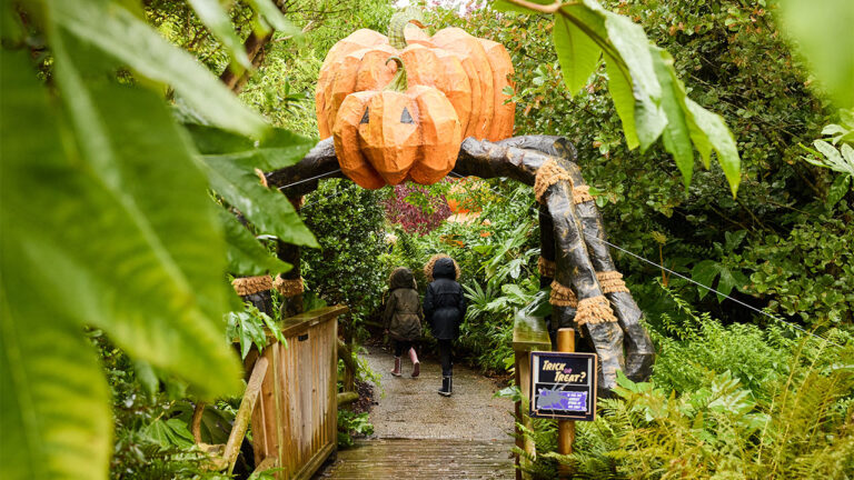chester-zoo-115.jpeg